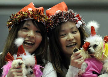 //japan pampered pets