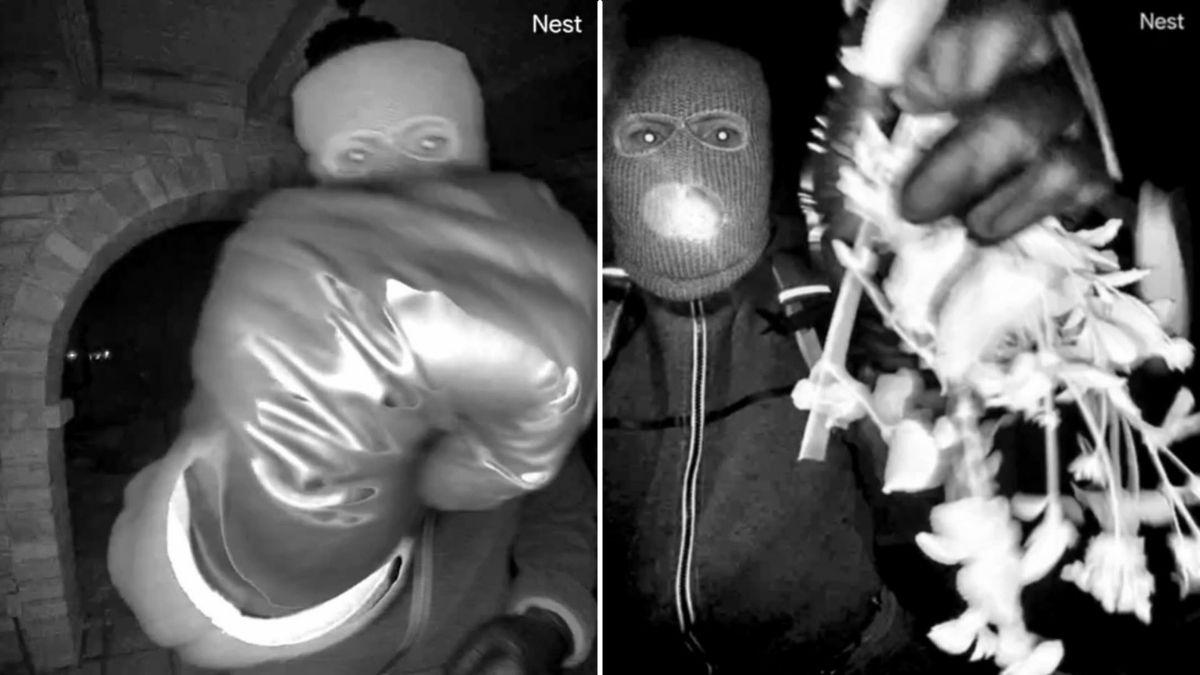 Photos of suspect in Nancy Guthrie case