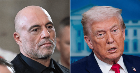Split photo of Joe Rogan, Donald Trump