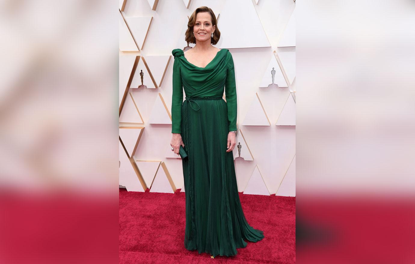 Academy Awards Oscars 2020 Red Carpet Celebrity Arrivals