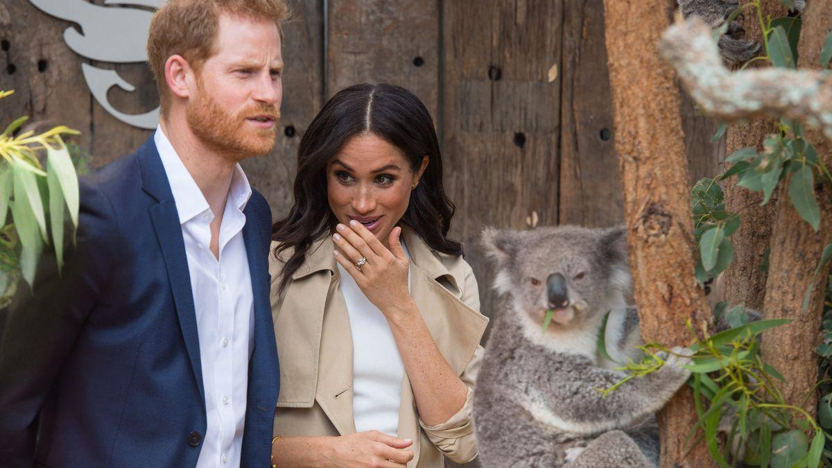 Photo of Prince Harry and Meghan Markle
