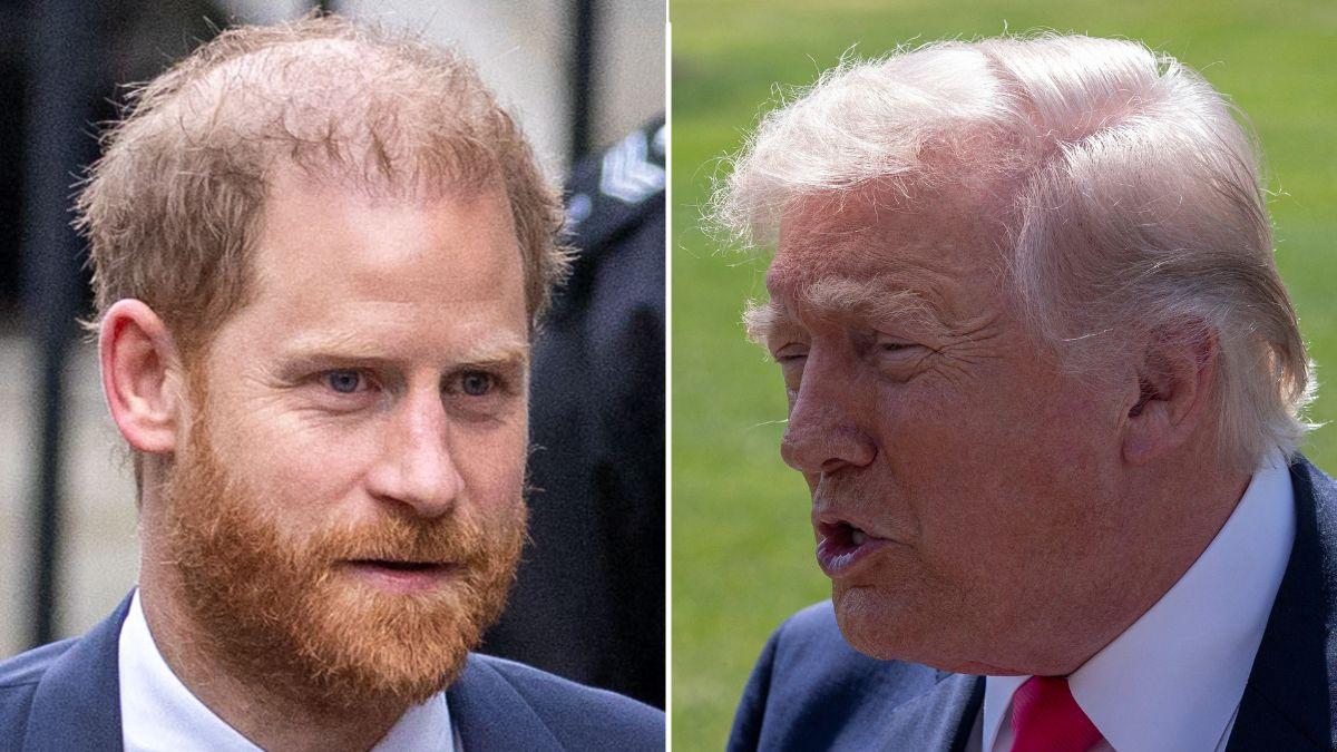 picture of prince harry and donald trump
