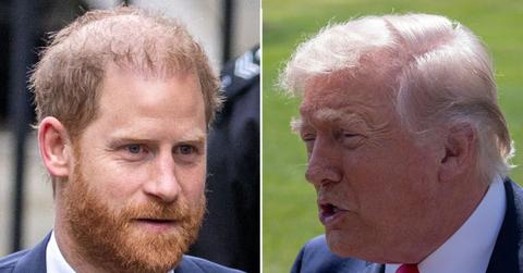 picture of prince harry and donald trump