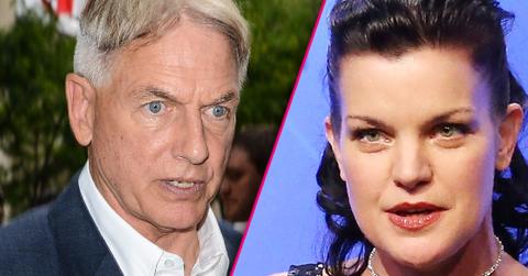 Pauley Perrette Says She's Still Terrified Of Mark Harmon