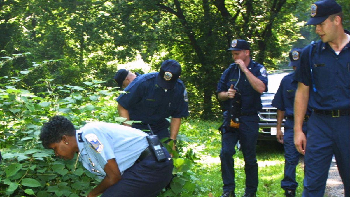 The investigation into Chandra Levy's death was riddled with missteps from police.