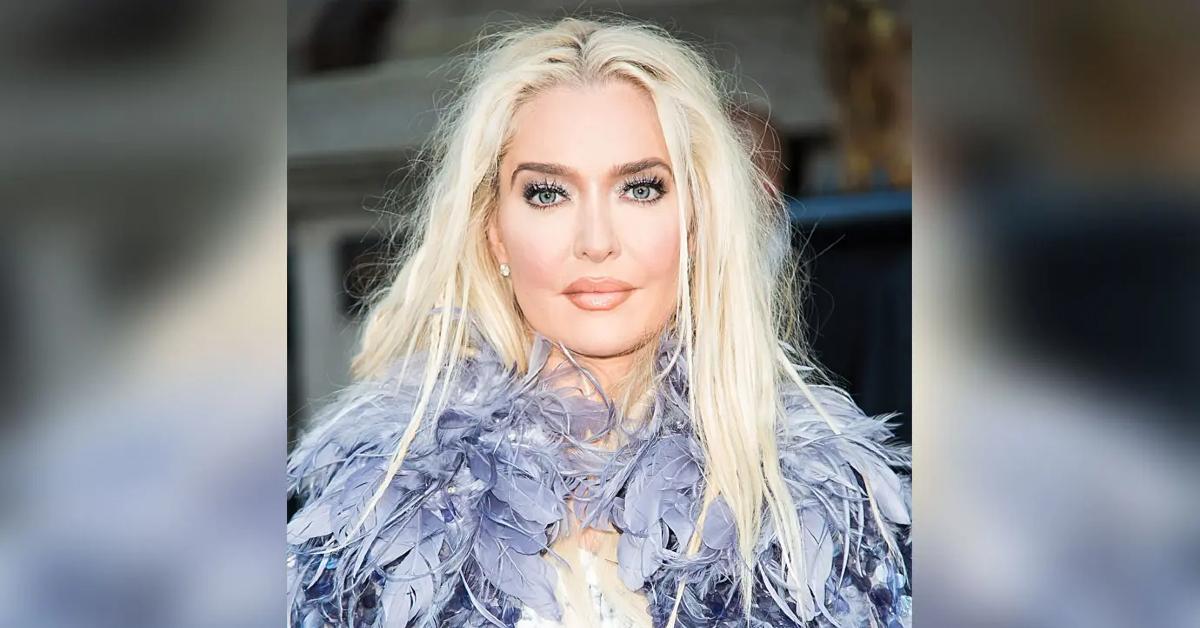 erika jayne real housewives beverly pp