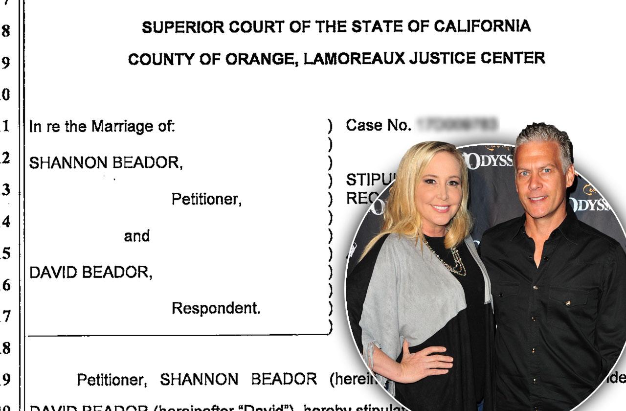 //Shannon beador less spousal support ex david pp