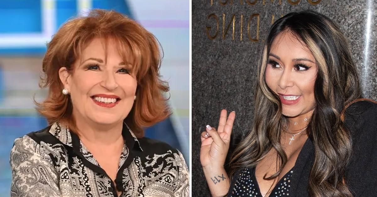 The View' Star Joy Behar Refused to Film With 'Jersey Shore' Cast Over  Snooki Drama