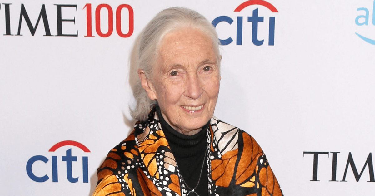 Photo of Jane Goodall