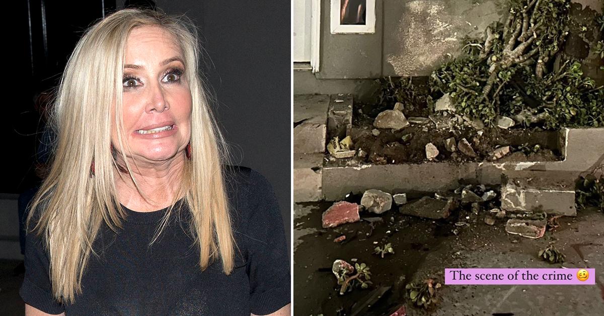 Shannon Beador Hasn't Contacted Residents of Home She Plowed Her Car Into