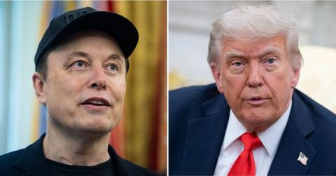 Split photo of Elon Musk, Donald Trump