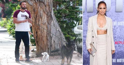 ben affleck j lo marital problems dogs poop pp