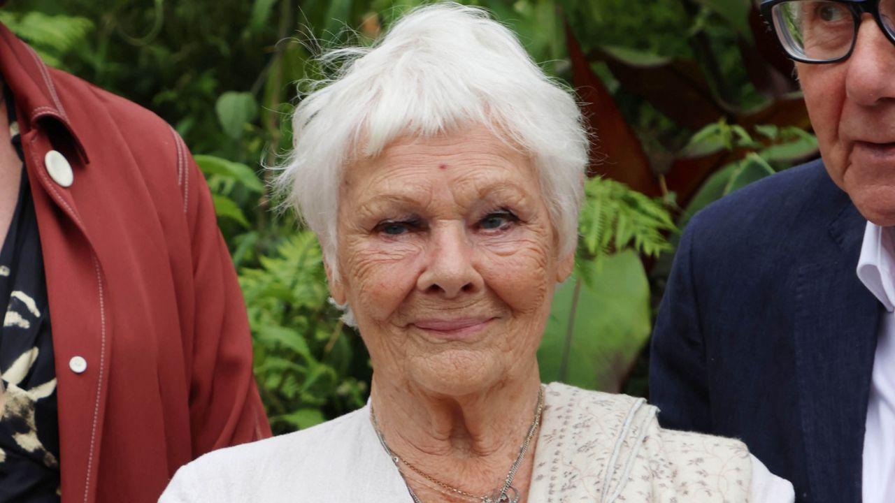 Photo of Dame Judi Dench