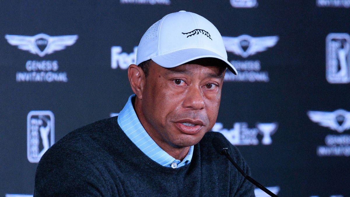 Picture of Tiger Woods