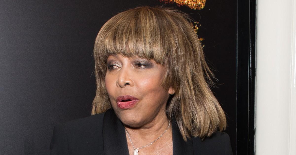 tina turner  pp