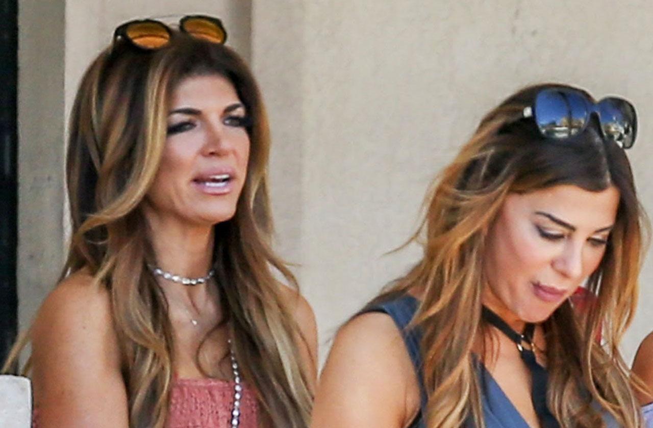 Teresa Giudice RHONJ Drama Siggy Flicker