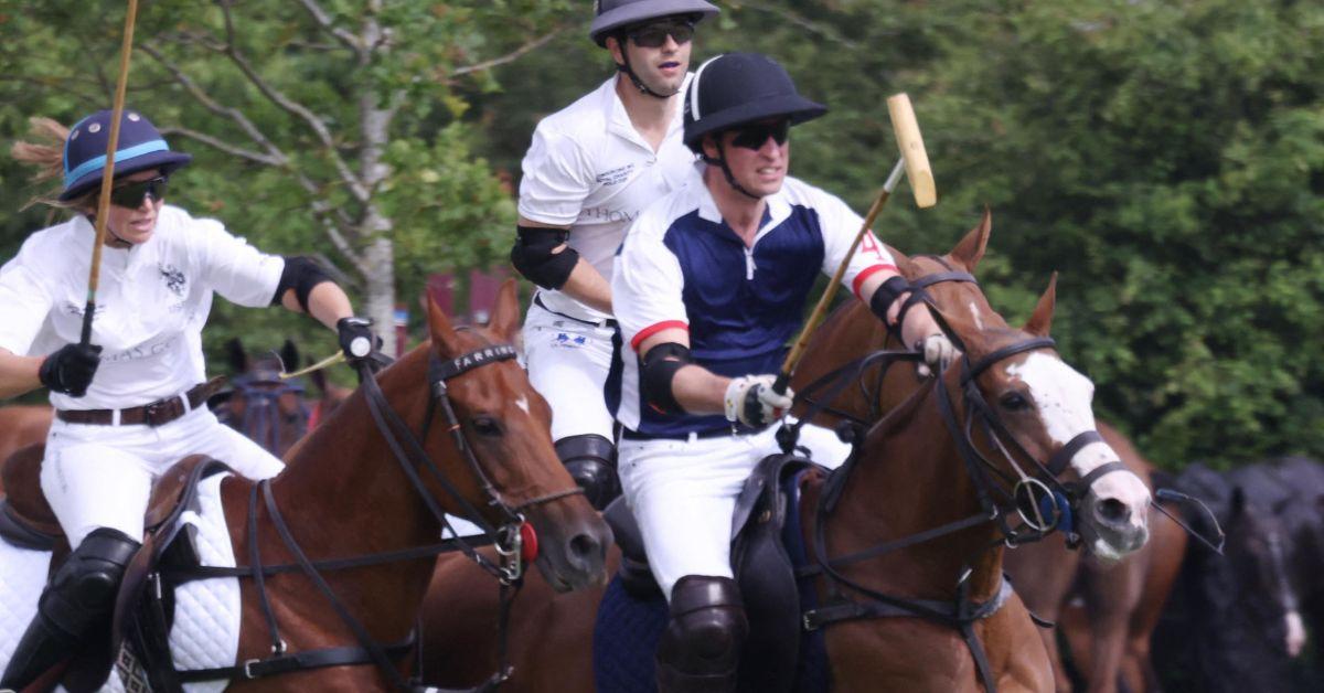 prince william bribery scam charity sponsor sells fake meetings