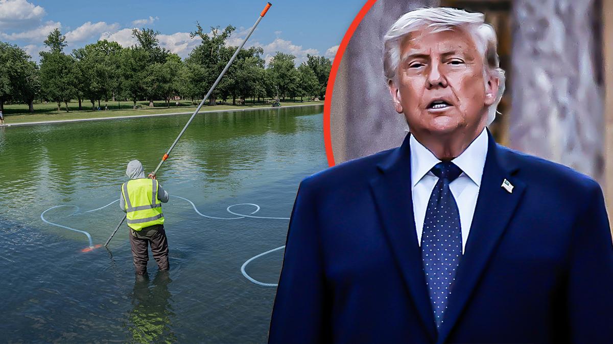 Donald Trump and Lincoln Memorial Reflecting Pool