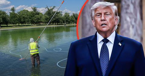 Donald Trump and Lincoln Memorial Reflecting Pool