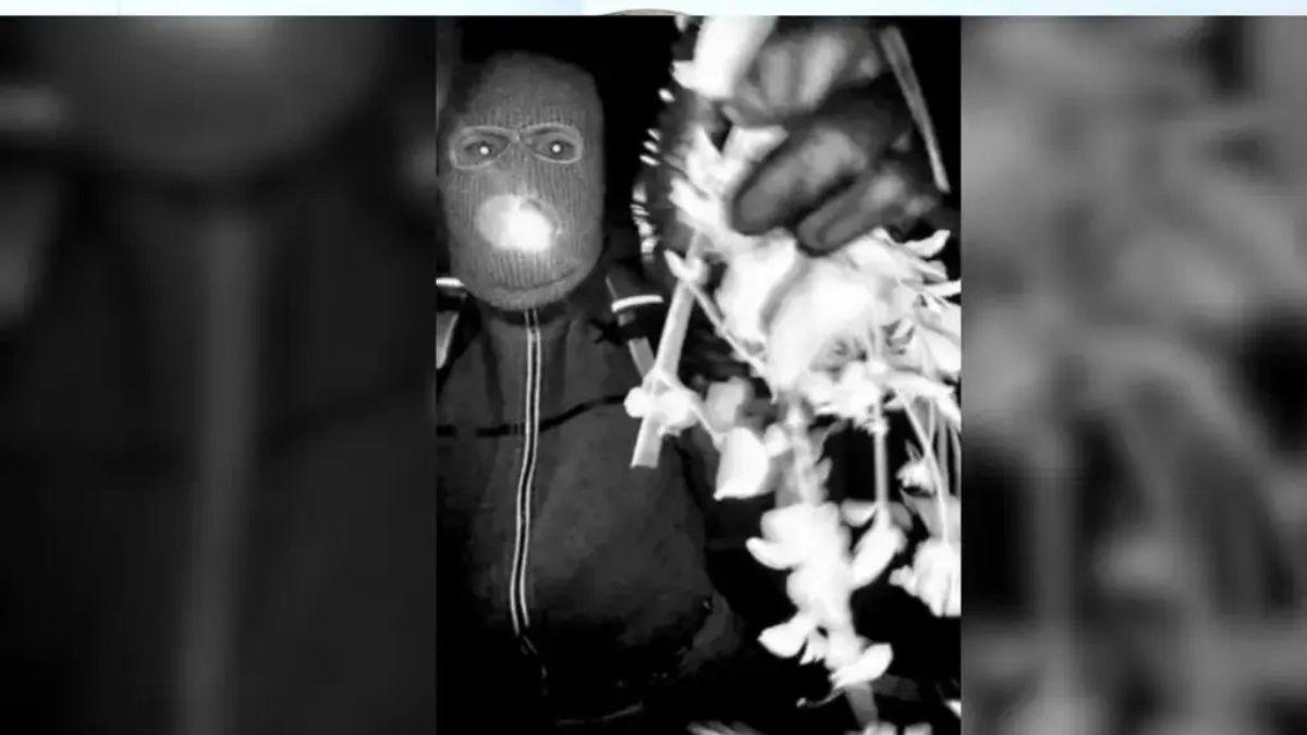 A suspicious white glove was found near Nancy Guthrie's property.