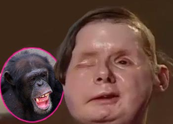 //charla nash chimp lawsuit