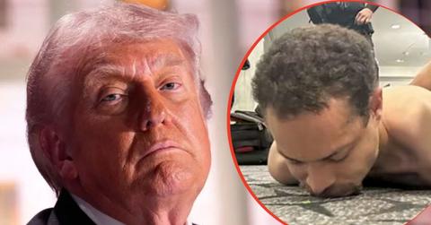 split image of Donald Trump and Cole Allen