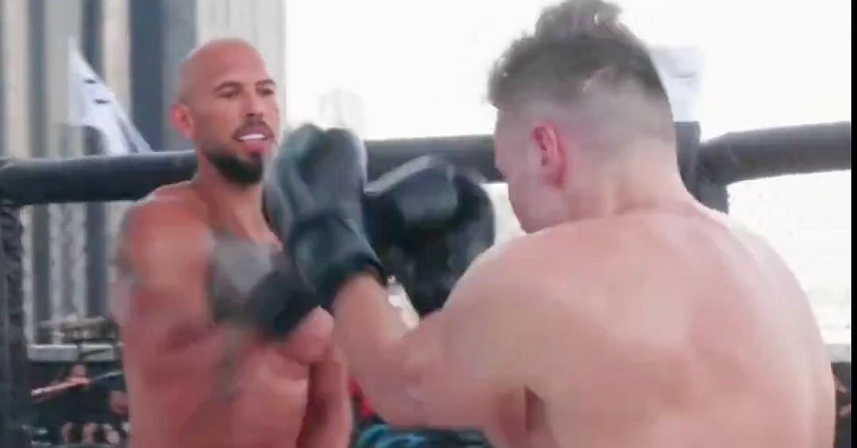 andrew tate boxing