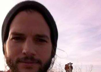 //ashton kutcher cow twitter
