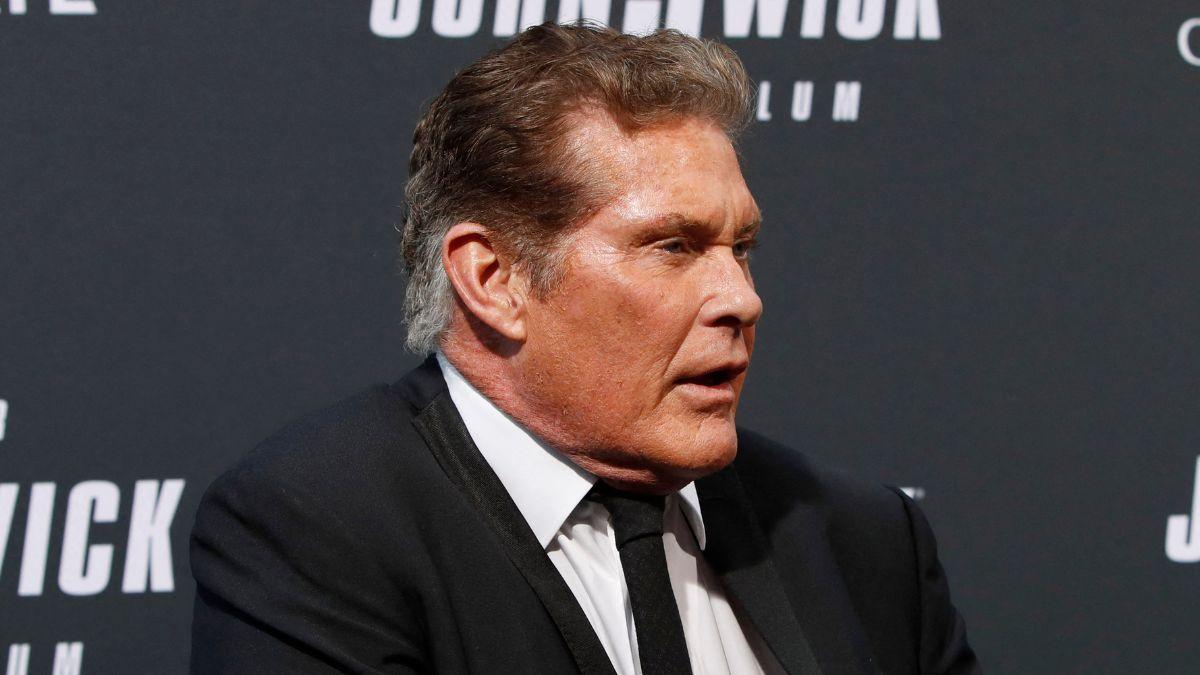 picture of David Hasselhoff 