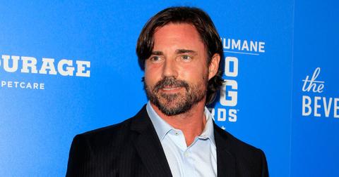 Denise Richards' 'Dwindling Fortune In Peril After Husband's Lawsuit'