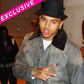 //chris brown community service probation splash