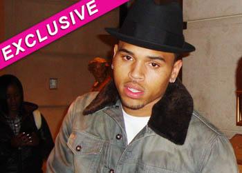 //chris brown community service probation splash