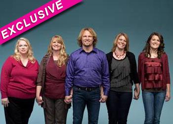 //sister wives tlc
