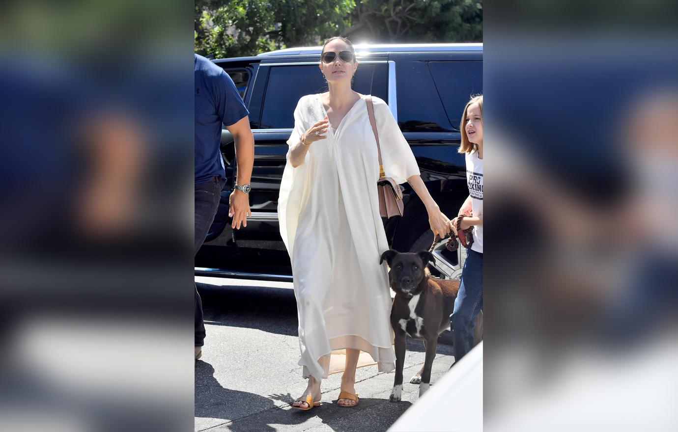 Angelina Jolie and Vivienne Jolie-Pitt head to a dog supply store in Los Angeles.