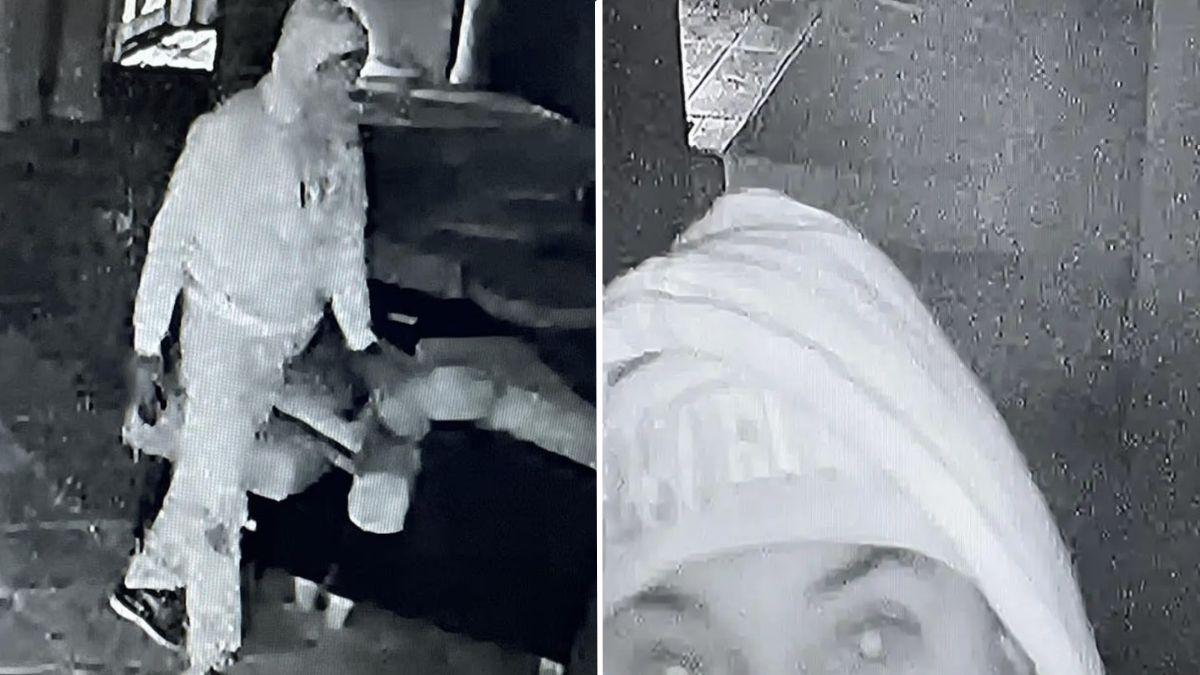 A woman was captured via surveillance footage inside the Biffle home after their deaths.