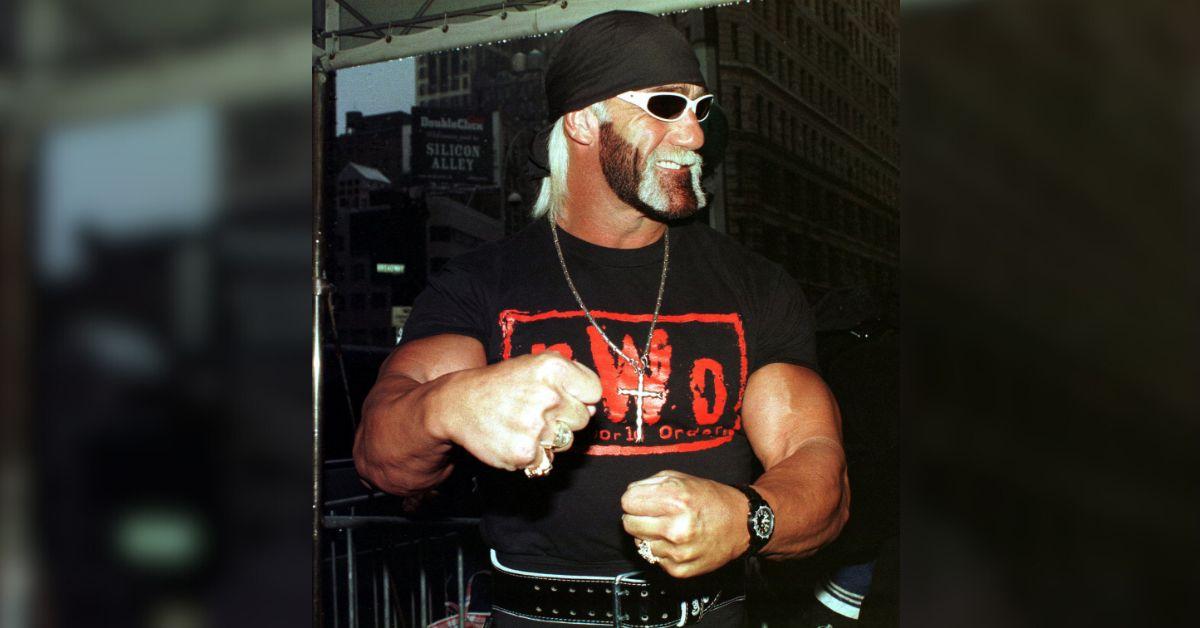 hulk hogan nwo