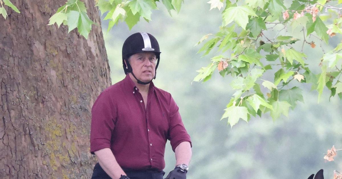 Prince Andrew Lives As A 'Prisoner' At The Royal Lodge As It Collapses - Vimarsana News