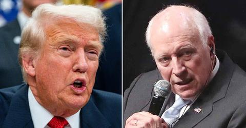 donald trump/dick cheney