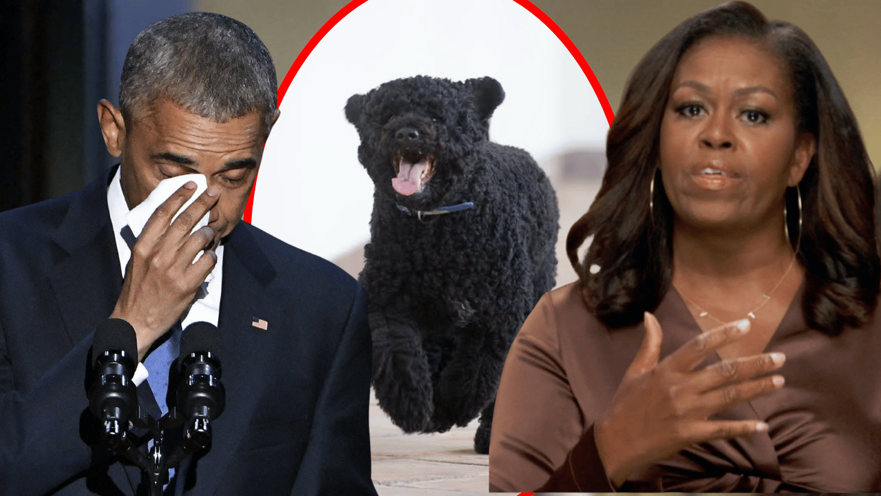 Barack and Michelle Obama are mourning the loss of their dog, Sunny.