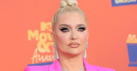 erika jayne appeals diamond earrings overturn embezzlement bankruptcy