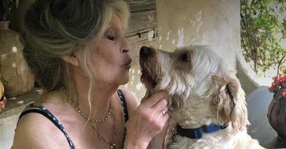 Photo of Brigitte Bardot