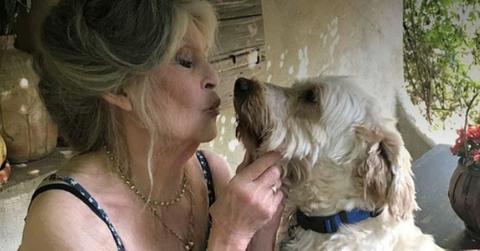 Photo of Brigitte Bardot