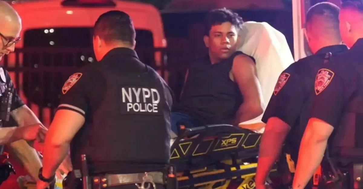 carnage new york video maniac bash bike shop worker stabbed bites cop