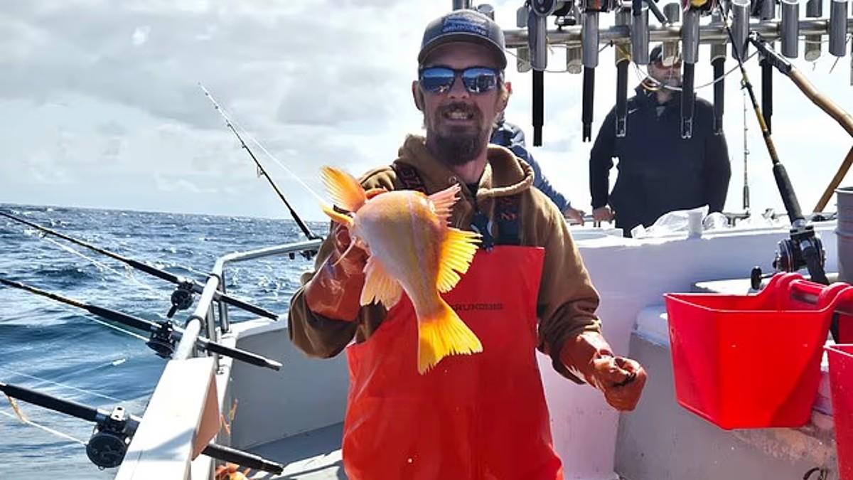 Photo of Todd Meadows