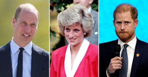 Princess Diana 'Would Be Turning in Grave' Over Prince Harry Leaving Brother William to Pursue Her Charity Legacy Alone