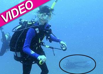 //gabe watson murder wife dive