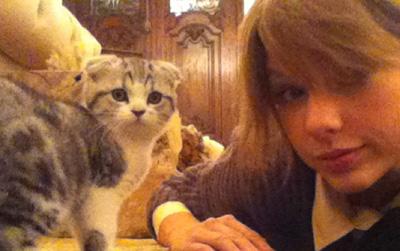 //taylor swift kitten twitter instargram