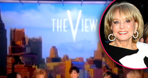 //barbara walters view calls in