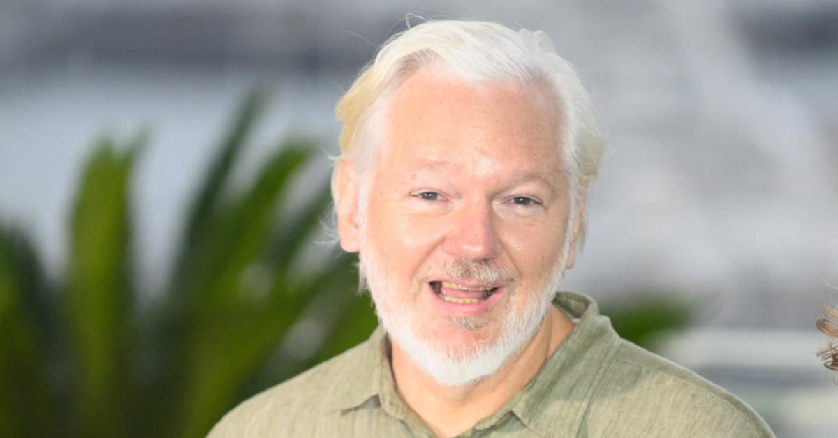 julian assange pamela anderson sex tape fears