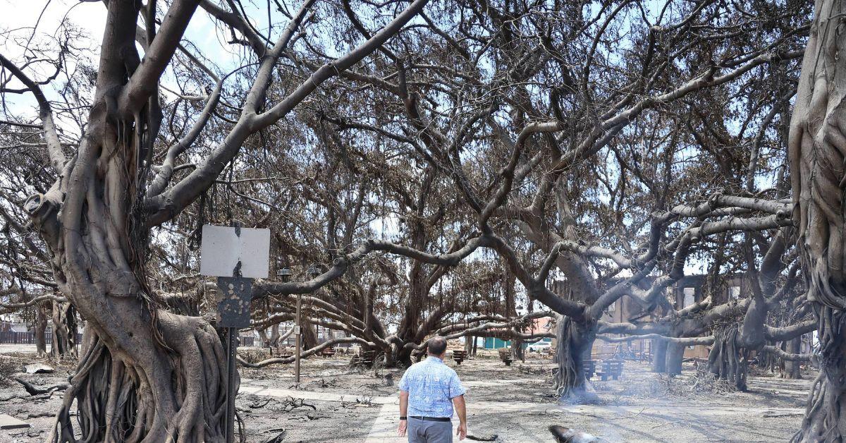 Maui Couple Sue Power Companies for 'Ignoring' Wildfire Warning Signs